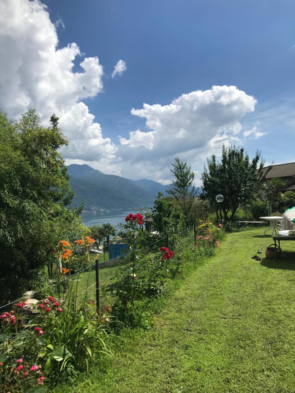 Bed And Breakfast Studios Alto Lago Di Como Gravedona Eksteriør bilde